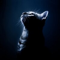 柳@雑多垢 (@hoohsky) 's Twitter Profile Photo 柳@雑多垢 (@hoohsky) 's Twitter Profile Photo