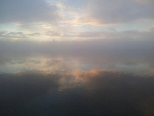 georgestwittor's profile picture. 