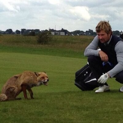 Noel Foxgolf60 Twitter