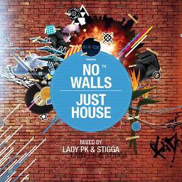 DIN Recordings presents: No Walls Just House mixed by Lady PK & Stigga. Album out 3 June 2013!! Dynamic brother and sister team - Family Thing Entertainment.
