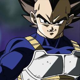 I'M VEGETA THE PRINCE OF ALL SAIYAN MY SON IS TRUNKS AND MY WIFE IS BULMA MY PRIDE GETENOUGH