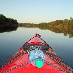 jasonwal's profile picture. I think it is camping season...