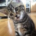 Dion Buckley - @Dionjsb - Twitter