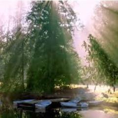 We can let circumstances rule us, or we can take charge and rule our lives from within.- Earl Nightingale