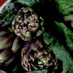 Molefacepub's profile picture. We are a Gastro style Pub and Kitchen outfit with 5 venues across the leafy suburbs of Nottinghamshire. Our aim is to bring you the best in local produce.