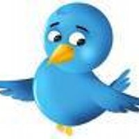 Tweeter News (@thetweeternews) 's Twitter Profile