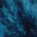 . - @Alison_ochoa_ - Twitter