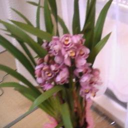 naka3323's profile picture. 様々な経済社会ネタにつっこみます。