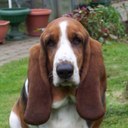 Frazer Allen - @Frazerallen1 - Twitter