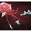 Stuart Hunter - @stuhunter79 - Twitter