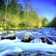 To be truly happy and contented, you must let go of the idea of what it means to be truly happy or content.― Lieh Tzu