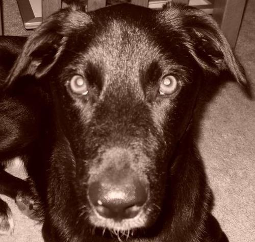 cborchris's profile picture. 