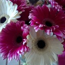 MandiPZ - @MandiPerryZohne - Twitter