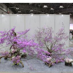 未生御流いけばな資料集成（3冊揃）未生御流家元 岡本芳村 未生御流いけばな資料集成（3冊揃）未生御流家元 岡本芳村 未生御流