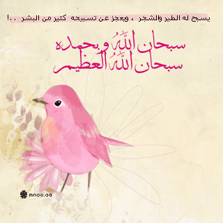 نحتسب عند الله أن يكون هذا الحسآب صدقه جآريه عني وآهلي وآختي تهاني *رحمها الله * وآحبتي وجميع المسلمين والمسلمات ❤
الانستقرام mnoo_aa1
⭐️التصاميم في المفضلة ⭐