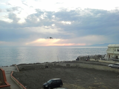 peppeiorio97's profile picture. I GRULLI Talebani non sono benvenuti