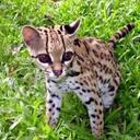 Jillian Strong - @jill_strong012 - Twitter