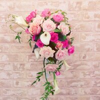 mizuki (@vitoria__235) Twitter profile photo