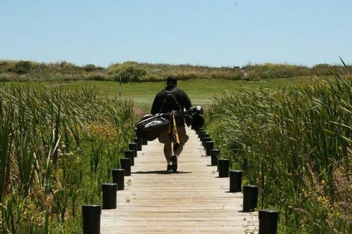 HendrixMobile's profile picture. 