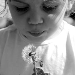 BetulBetulum's profile picture. galatasaray seni seviyorum