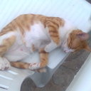 Jose Marrón - @Josemarronet - Twitter