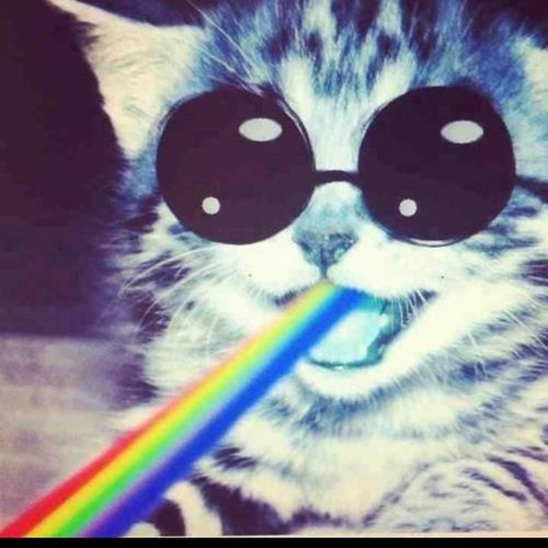 ElekidBoss's profile picture. 