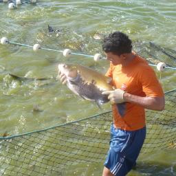 Mit der Natur im Einklang. Nachhaltiger Klima- und Umweltschutz http://t.co/vdkluT9vim http://t.co/bh1WtsR60h  Balsa Plan - Aqua Fisch Plan