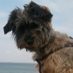 Dianebei's profile picture. Il n'y a qu'un seul bien: Dieu. Tout le reste est bon lorsqu'il est dirigé vers Lui et mauvais lorsqu'il éloigne de Lui.
http://t.co/jOuEhfBcq2