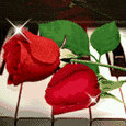 PIN:29B3099C