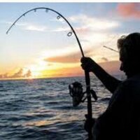 Fishing World (@pescamex) 's Twitter Profile