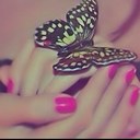 shehant-alhelh (@11Alhelh) Twitter