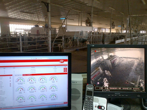 Dairy Specialist with Avonbank. We design dairy barns and we are a Lely dealer in Ontario.