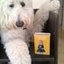 Otis and ME (@otisandme1) Twitter profile photo