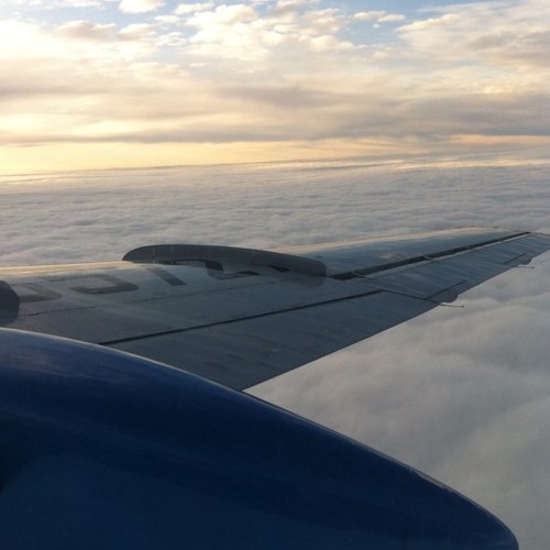 kovr81's profile picture. 