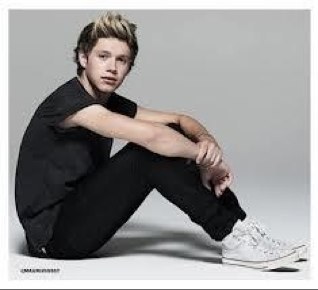 i am a huge fan of 1D and my fav From 1D is niall I am a niall girl,i will always love 1D an be a directioner forever:)