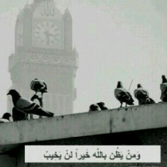 لِنّ تمِْوتُ.. إذا خسرت من تحِب !! لكن ستعّيش كالميت اذا خسِرت كرامتك