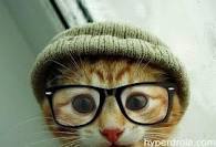 Lapoilevoussuis's profile picture. Je vous suis tu me suis ^^ @lapoilevoussuis ou rejoind pour le plaisir @LosingOfficiel