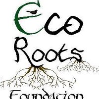 Eco Roots Foundation (@ecorootsfoundtn) 's Twitter Profile
