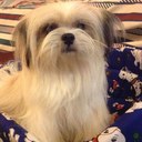 Christopher Go - @Chris2crv - Twitter