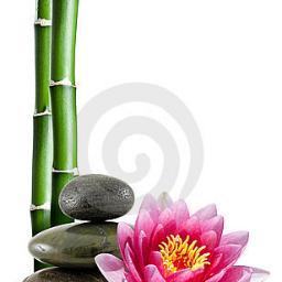 Organic skin care with an online website enabling purchase of a range of pure and natural organic skin care.