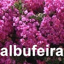 AIbufeira's profile picture. We follow everything Albufeira and retweet the interesting stuff for you, HAPPY DAYS.
