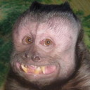 Juana Favela - @JuanaFavela3934 - Twitter