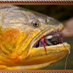 eflywater's profile picture. Fly Fishing guides & outfitters in PATAGONIA ARGENTINA