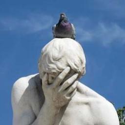 bolgowa's profile picture. 