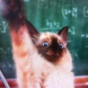 Catherine Kline - @icpenguins - Twitter