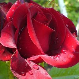 depaulaBeta's profile picture. Este twitter é para aumentar pontos no blablablametro do Tim Beta Me sigam e seguirei a todos!! Valeu!!!