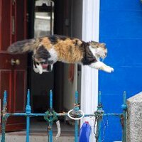 Israel Jimenez (@israeljimenezes) 's Twitter Profile