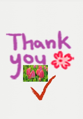 BelmajdoubB's profile picture. 