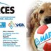 Saces Srl (@sacesmapei) Twitter profile photo