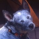 Karen Thrower - @KMMatheson - Twitter